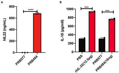 Challenges and Pitfalls in the Engineering of Human Interleukin 22 (hIL-22) Secreting Lactobacillus reuteri